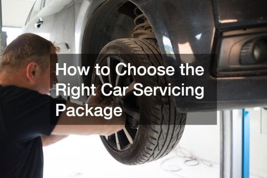 How to Choose the Right Car Servicing Package