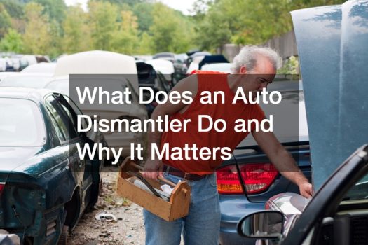 What Does an Auto Dismantler Do and Why It Matters